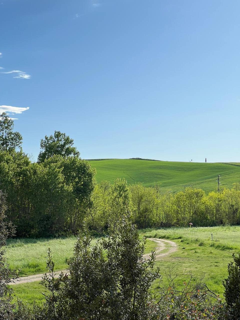 L'Olivo Maritato Daire Siena Dış mekan fotoğraf